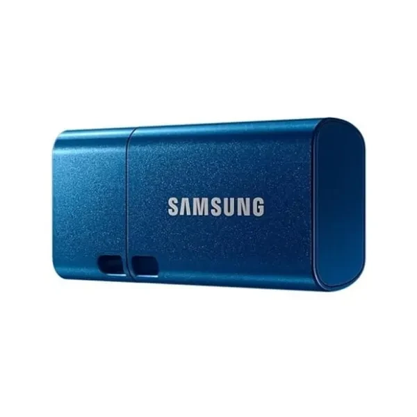 SAMSUNG Type-C™ USB Flash Drive, 256GB, Transfers 4GB Files in 11 Secs w/Up to 400MB/s 3.13 Read Speeds, Compatible w/USB 3.0/2.0, Waterproof, 2022,Blue
