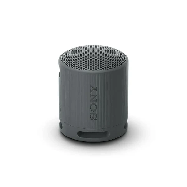Sony SRS-XB100 Wireless Bluetooth Portable Lightweight Super-Compact Travel Speaker, Extra-Durable IP67 Waterproof & Dustproof, 16 Hrs Batt, Versatile Strap, Extra Bass & Hands-Free Calling-Black